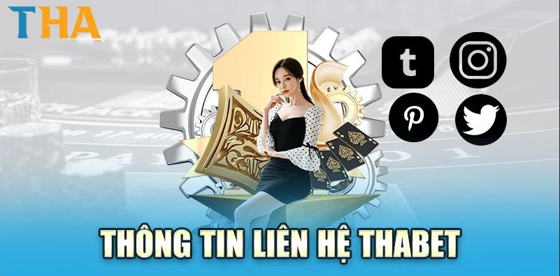 Địa chỉ liên hệ với Thabet